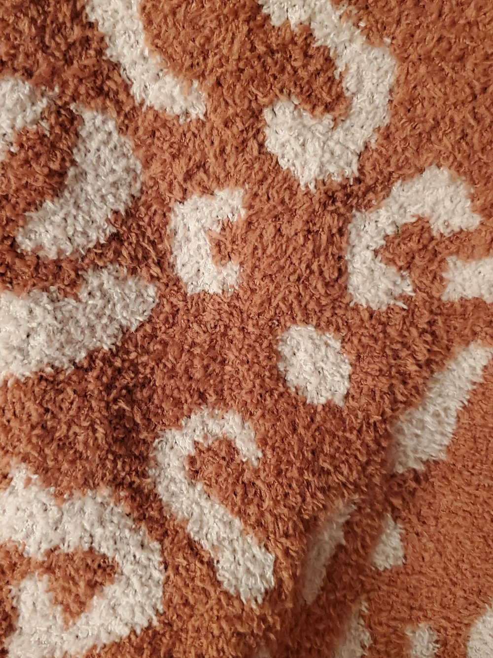 Women's Crewneck Leopard Sweater in Rust and Cream
